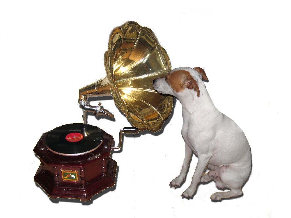 Vinylworldvaks